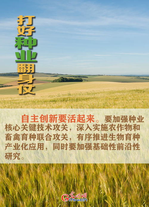 圖說 打好種業(yè)翻身仗,看農(nóng)業(yè)農(nóng)村部怎么說