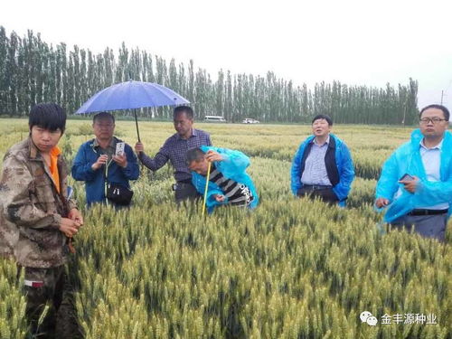 種業(yè)核心競(jìng)爭(zhēng)力與未來發(fā)展核心探析