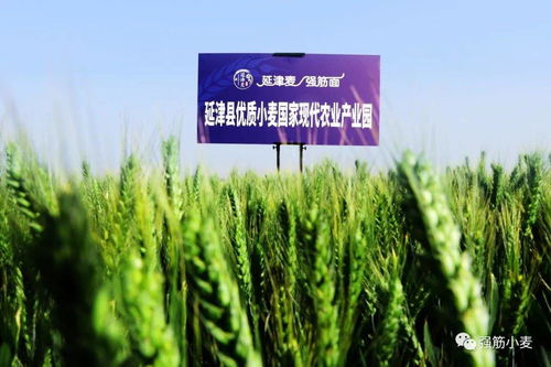 歲歲冬至，種業(yè)新篇