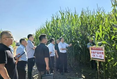 鄭州市農(nóng)業(yè)農(nóng)村局來(lái)我市調(diào)研種業(yè)工作 共話種業(yè)發(fā)展新篇章