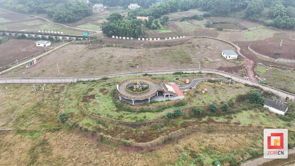 永安鎮大豆種業基地豐收喜人，2000畝油菜輪種續寫豐收篇章