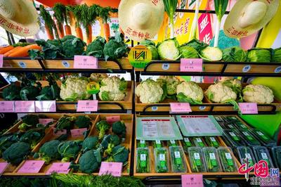 種業振興，改變世界 第二十九屆中國北京種業大會特色產品璀璨亮相